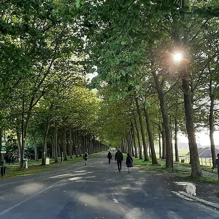 F3 Central, Bright And Quiet In Lejlighed